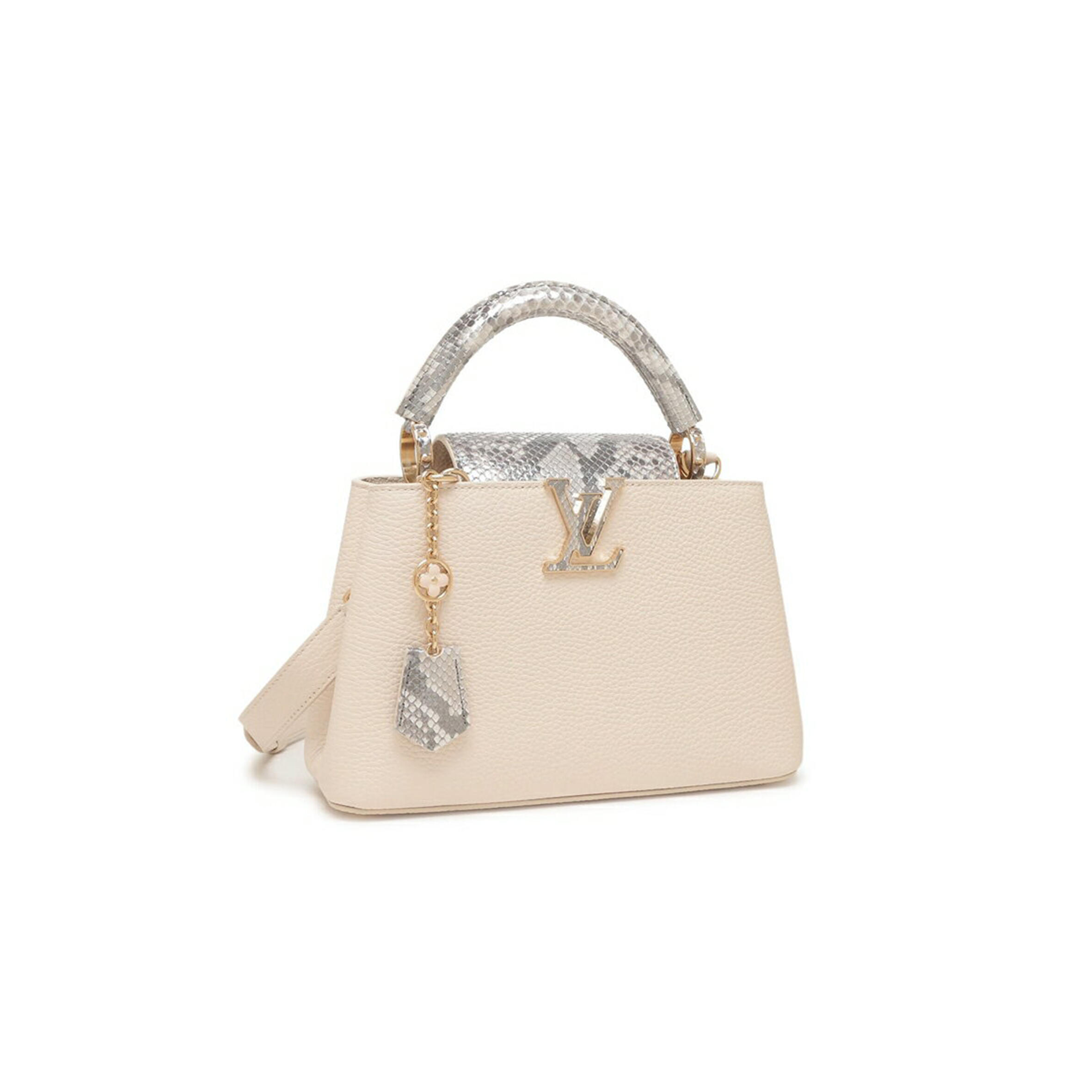 LOUIS VUITTON MASTER CAPUCINES BB N89369 (27*18*9cm)